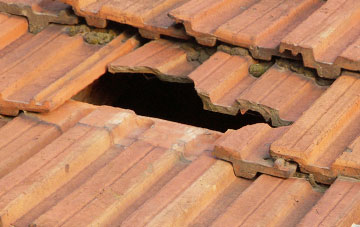 roof repair Park Lane