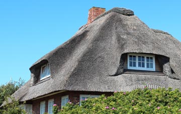 thatch roofing Park Lane